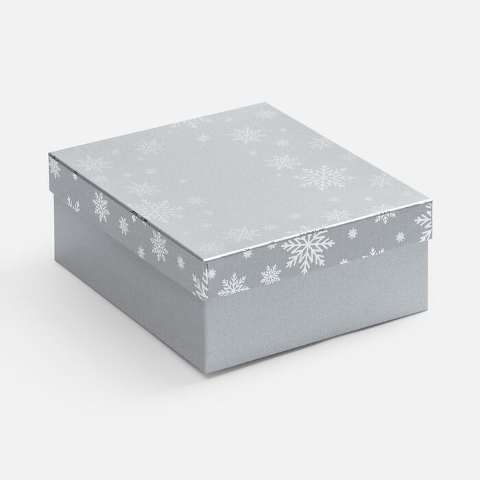 Коробка Wintry, серебристая